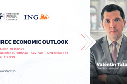 NRCC ECONOMIC OUTLOOK BY ING 2025, CLUJ